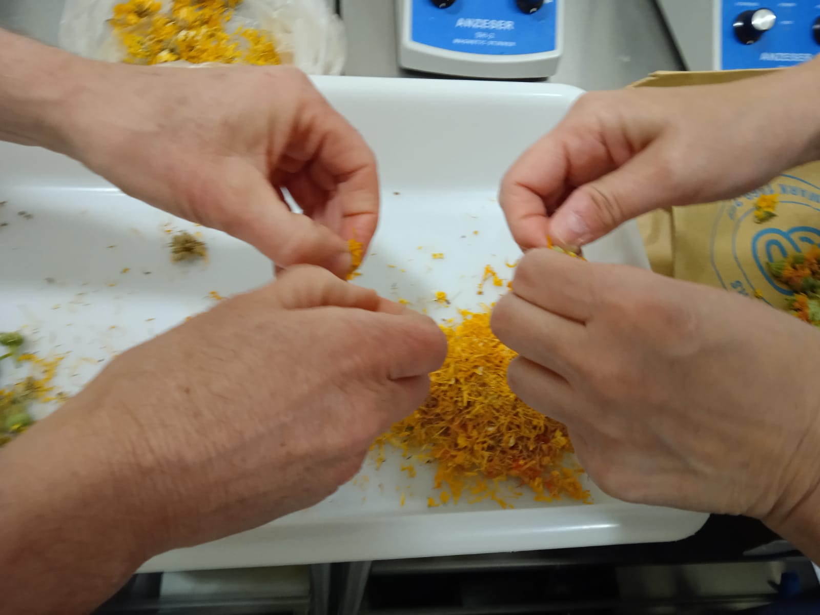 Preparación de flores en la botica
